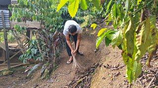 Sebelum Kerja Kekebun, Aku bersikan Sekitar Rumah Dulu, Kehidupan Nyata Dikebun