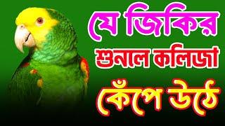 রাতে ঘুমানোর আগে এই জিকির শুনুন ঘুম চলে আসবে ইনশাআল্লাহ | BANGLA JIKIR | জিকির | লা ইলাহা ইল্লাল্লাহ