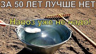 1 Ложку на ведро воды и земля как новая, пролейте этим землю для обильного урожая всего!