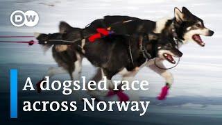 Europe’s toughest dogsled race | DW Documentary