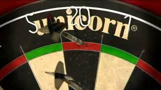 The Darting Year - 2012