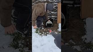 12.12. 2024 р. ИЛЕАЛЬНОЕ УДОБРЕНИЕ ДЛЯ ЛЮБЫХ РАСТЕНИЙ. Компост в зиму. Уход. Ускоряем переработку.