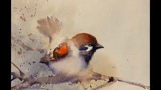 Watercolor Bird Painting Tutorial