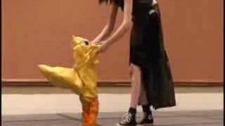 Tifa and Baby Chocobo