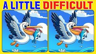 Spot the Difference | Dare to Solve 《A Little Difficult》