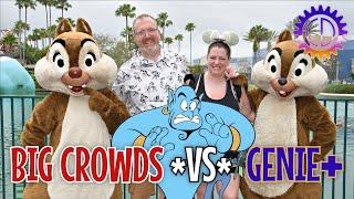 Genie+ vs Big Crowds at #HollywoodStudios