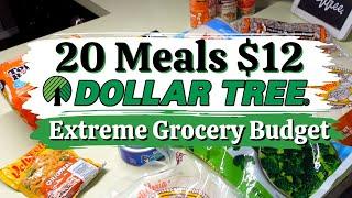 $12 EMERGENCY GROCERY BUDGET CHALLENGE AT DOLLAR TREE || MAKES 18 MEALS || DOLLAR TREE DINNERS