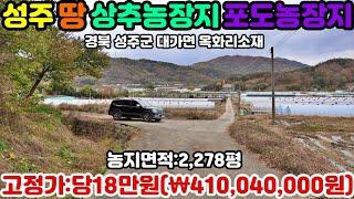 NO:1-452번#성주군땅.성주땅.성주군부동산.성주부동산.성주군공인중개사.성주군대가면옥화리귀농귀촌주택용지.성주군대가면귀농귀촌주택부지.성주군대가면귀농귀촌주택지.성주군대가면귀농주택부지