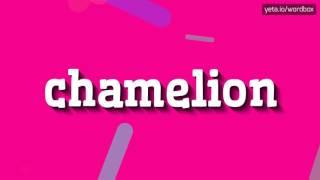 Wie sagt man Chamelion?  #chamelion (HOW TO SAY CHAMELION? #chamelion)