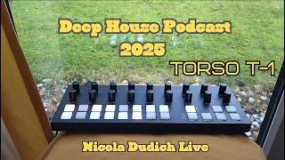 Deep House Vibe podcast 2025 by Nicola Dudich TORSO T-1 . electronic music , Tech House music