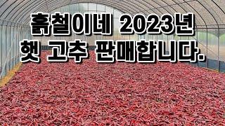 2023년 흙철이네 햇고추 판매합니다!