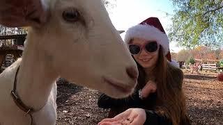 Unicorn Farm & Santa Clause | Hidden Pasture Unicorn Farm | Adventures With Haven