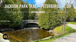 4K Virtual Hiking Tour Near Jackson Park Trail at Jackson Creek - Peterborough, Ontario
