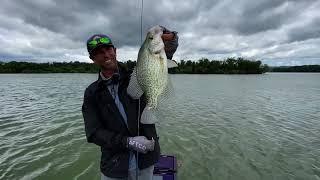 Berkley Power Switch with Mike Iaconelli - Crappie fishing with the Power Switch