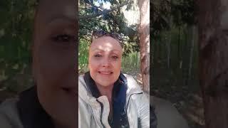 Четыре правила жизи