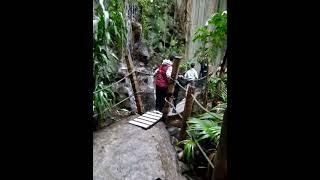 James Cheng Jacqueline Cheng school field trip Ontario science center fall bridge tropical forest