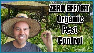 Easy Organic Pest Control