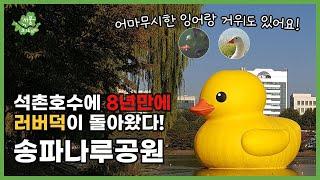 [송파나루공원/석촌호수] 도심 속 서울의 거대한 정원 잠실 송파나루공원