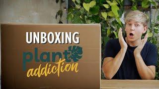 MEGA Pflanzen Unboxing  Meine bisher größte Bestellung bei Plantaddicition | Plant Haul