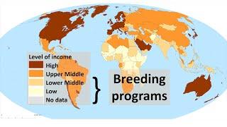Livestock breeding programs in low-income countries | Community-based breeding programs
