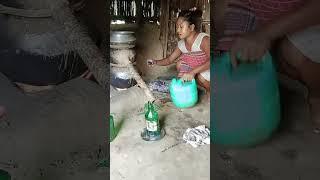 #Adivasi song #shorts_ ##shortvideo ##shorts_ ##viral