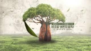 바오밥 나무는 무엇인가? What is baobab tree?