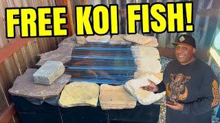 FREE Japanese Koi Fish!