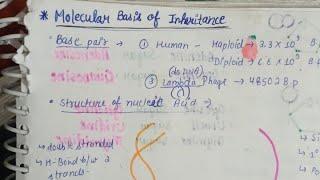 MOLECULAR BASIS OF INHERITANCE NEET 2025 BIOLOGY STUDY WITH ME 