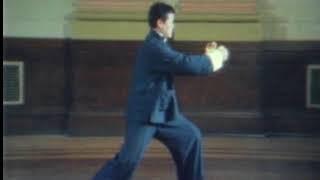 Tai chi Tung