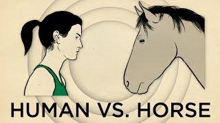 Human Vs. Horse Marathon  | NPR's SKUNK BEAR