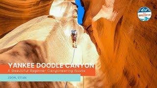 Yankee Doodle Canyon - A Beautiful Beginner Canyoneering Route Near Zion, Utah