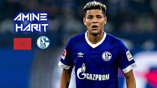 Amine Harit 2018-2019 - Wizard - Magic Skills Show - Schalke 04 / أمين حارث