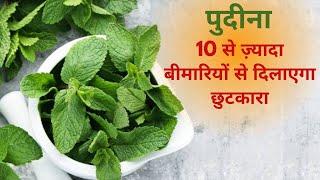 Pudina Health Benefits इस तरीके से खाएं पुदीना 10 से ज़्यादा बीमारियों से मिलेगा छुटकारा Mint Benefit