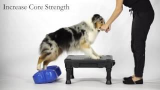 CanineGym® in a Box - FitPAWS® and Blu-9™ KLIMB™