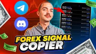 Forex SIGNALS COPIER Software: Installation & Setup instructions (Fully Automated + InterServer VPS)