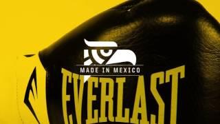 Everlast ELITE - Pro Fight Glove