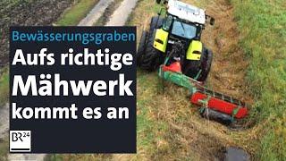 Landwirtschaft: Entwässerungsgraben räumen ohne Bagger – für mehr Artenvielfalt | Abendschau | BR24