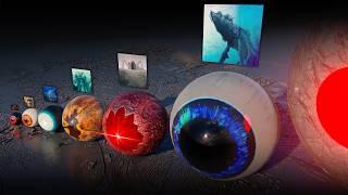 Legendary Monster Eye Size Comparison | SEA EATER VS SCP 169