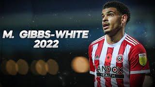 Morgan Gibbs-White - Technical Midfielder - 2022ᴴᴰ