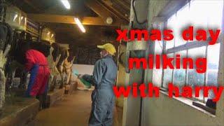 XMAS DAY MILKING WITH HARRY