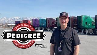 Pedigree Truck & Trailer Sales