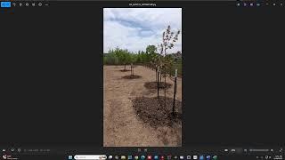 5.19.2025 May Tree Advisory Committee Meeting