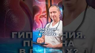 Гипертония причина в почках #шишонин #гипертония
