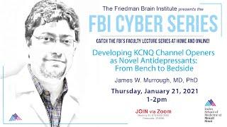 FBI Cyber Series - by James W. Murrough, MD, PhD