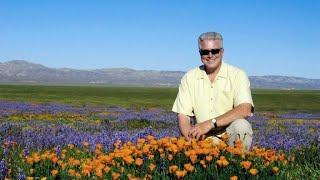 California's Gold   Specials EP38   Mono Lake Today