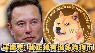 马斯克：我持有很多狗狗币！SpaceX持有很多比特币！政府效率部DOGE第一击：将开发网上报税程式减开支｜Cryptonews