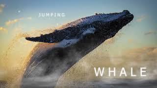 Jumping Whale | Beautiful Music With Sounds of Sea and Waves | Ambient Stress Relief Music