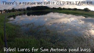 Almost GUARANTEED We Get Bit Here EVERY TIME! - San Antonio bass fishing urban pond