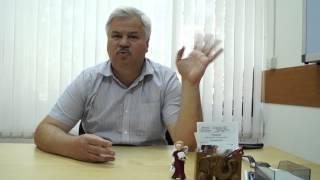 Лечения травами и лечение таблетками. Что безопасней и эффективней?
