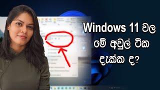 Windows 11 User Experience